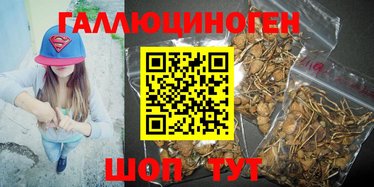 Псилоцибиновые грибы мицелий Ярцево