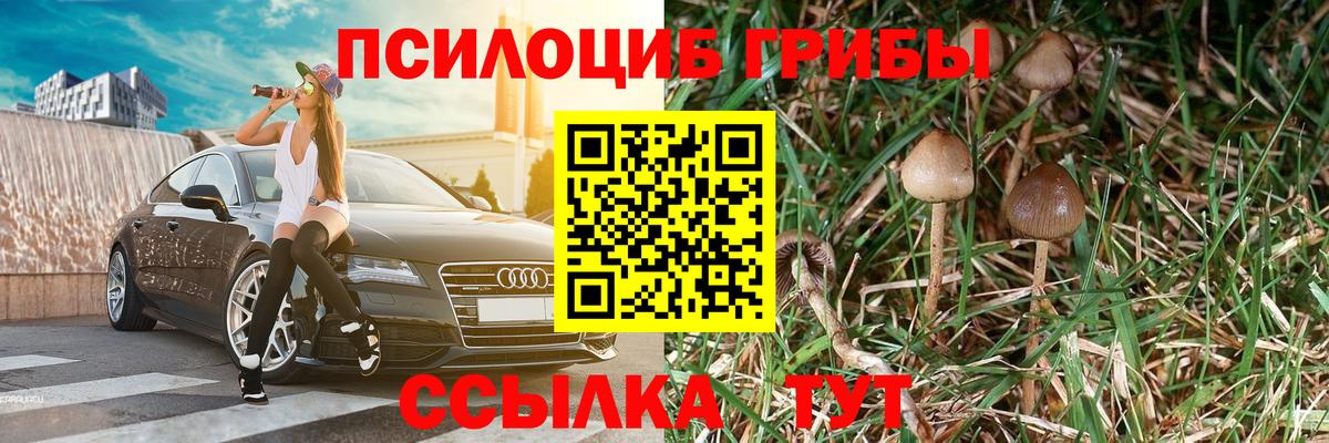 Ярцево  КОКАИН  Меф МЯУ МЯУ кристаллы  Вход с VPN  Конопля  Меф  A-PVP СК кристаллы  ГАШИШ  Гашиш 