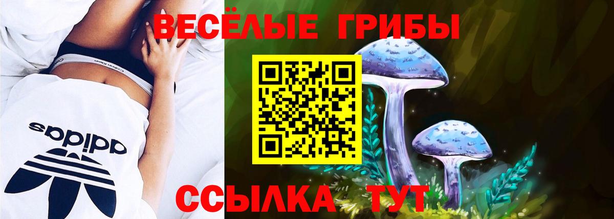Ярцево  Галлюциногенные грибы прущие грибы  Вход с VPN 